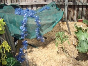 shade-cloth-garden-bed